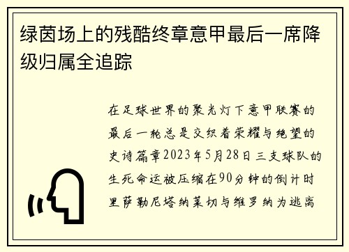 绿茵场上的残酷终章意甲最后一席降级归属全追踪